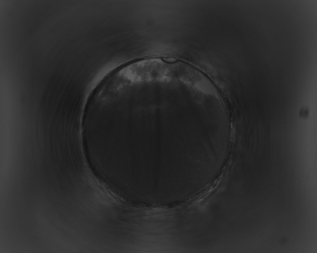 X0000091880196200710031128