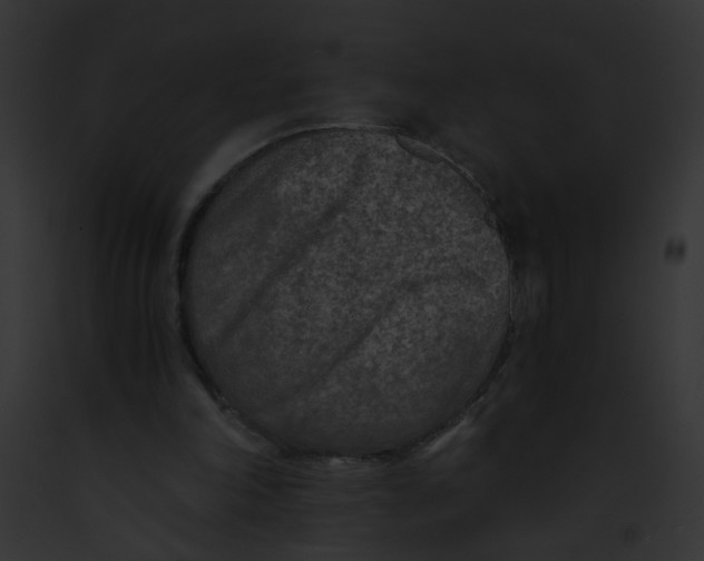 X0000091880198200710031128