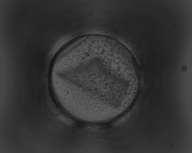 X0000091880199200710031128