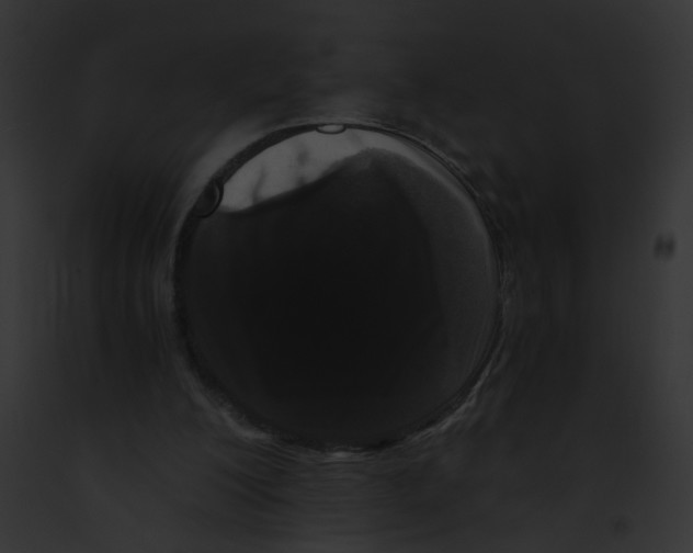 X0000091880200200710031128