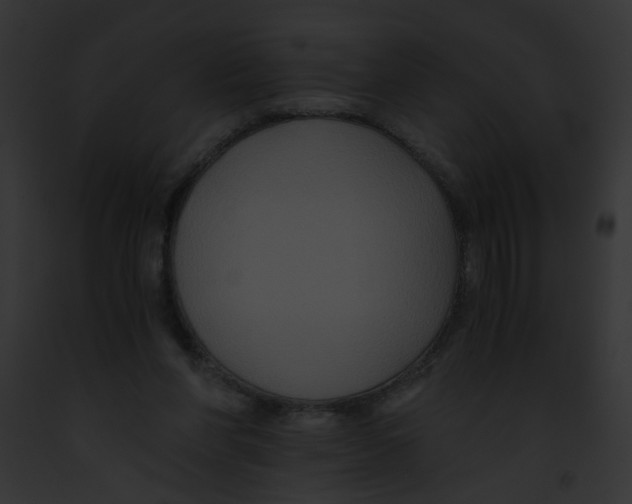 X0000091880206200710031128