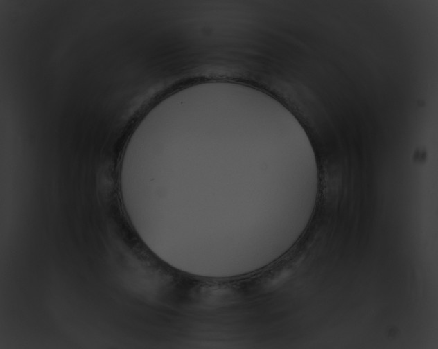 X0000091880208200710031128