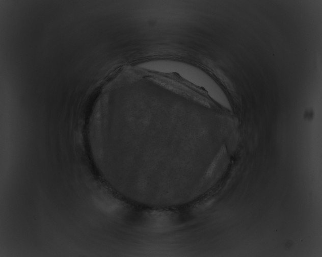 X0000091880209200710031128