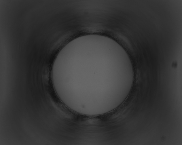 X0000091880210200710031128