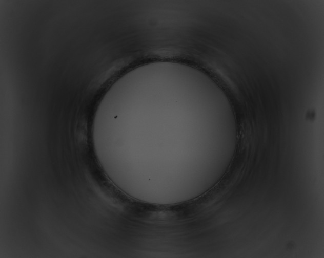 X0000091880212200710031128