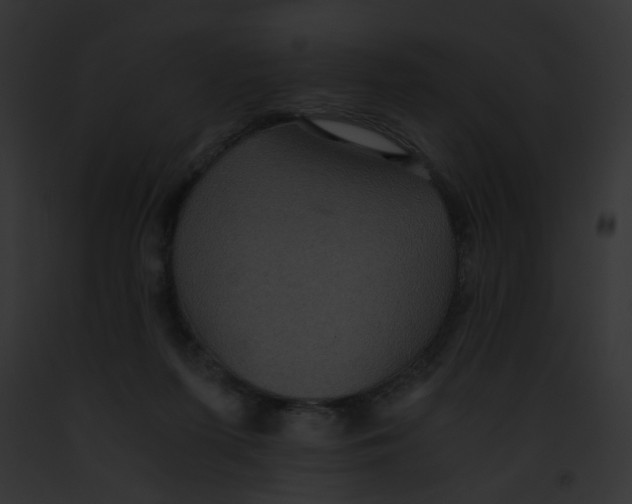 X0000091880215200710031128