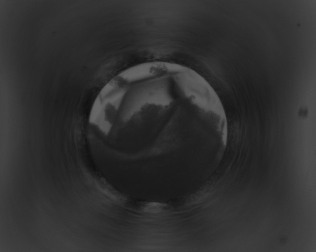 X0000091880222200710031128