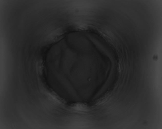 X0000091880223200710031128