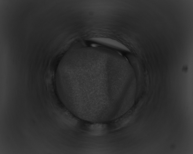 X0000091880225200710031128