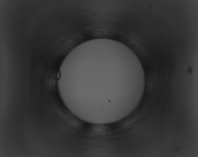 X0000091880226200710031128