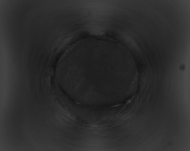 X0000091880229200710031128