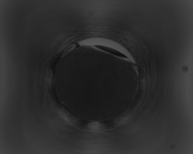 X0000091880231200710031128