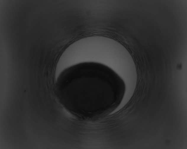 X0000091880235200710031128