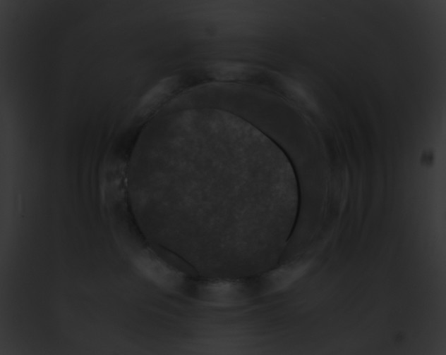 X0000091880237200710031127