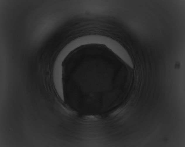 X0000091880239200710031127