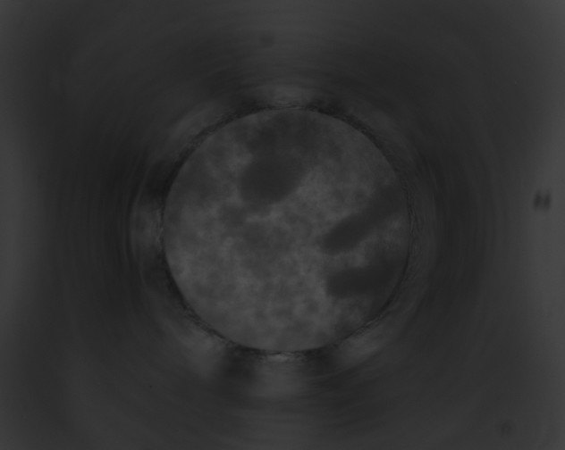 X0000091880240200710031127