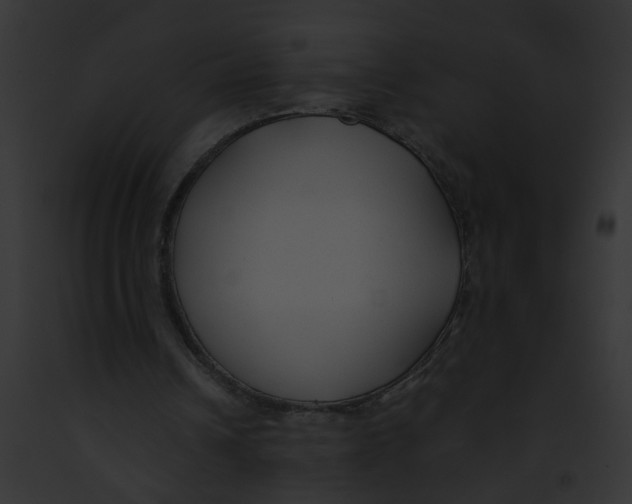 X0000091880242200710031127