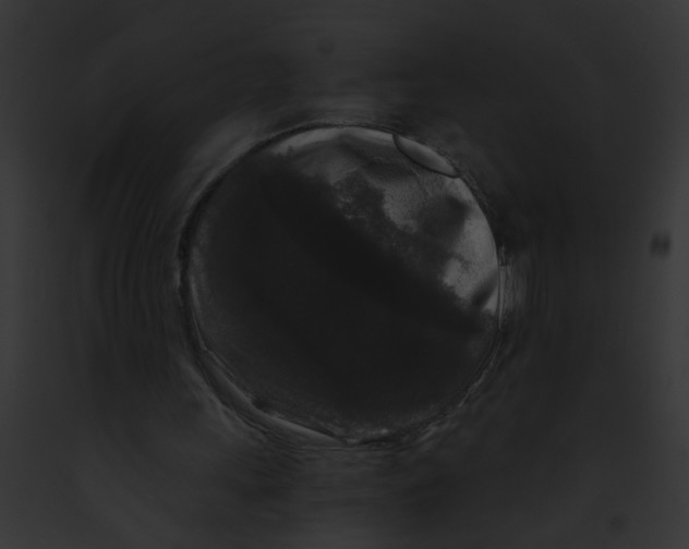 X0000091880243200710031127