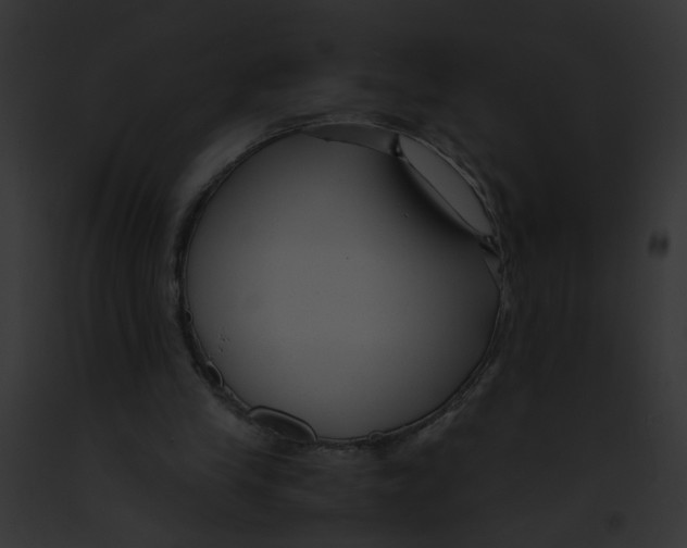 X0000091880245200710031127