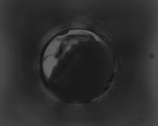 X0000091880247200710031127