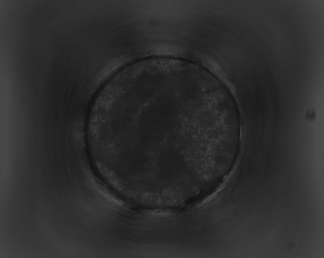 X0000091880249200710031127