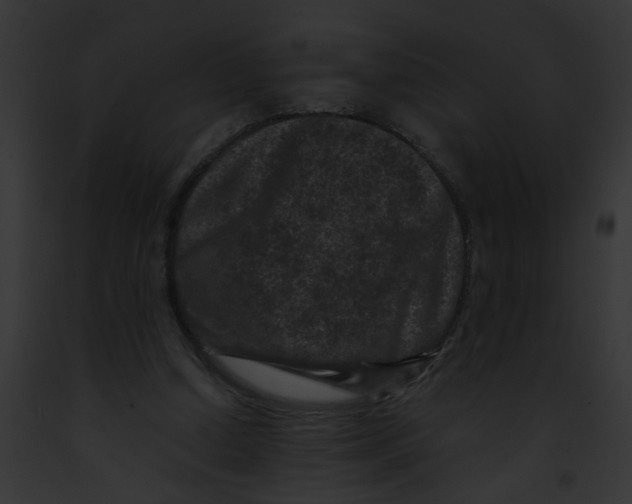 X0000091880250200710031127