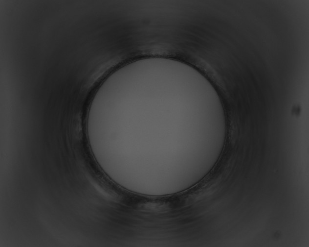 X0000091880251200710031127