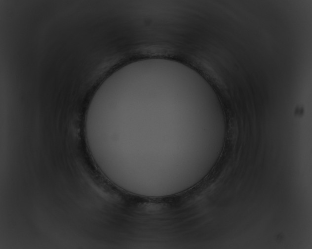 X0000091880255200710031127