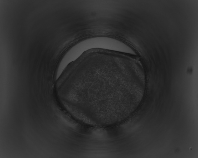 X0000091880258200710031127