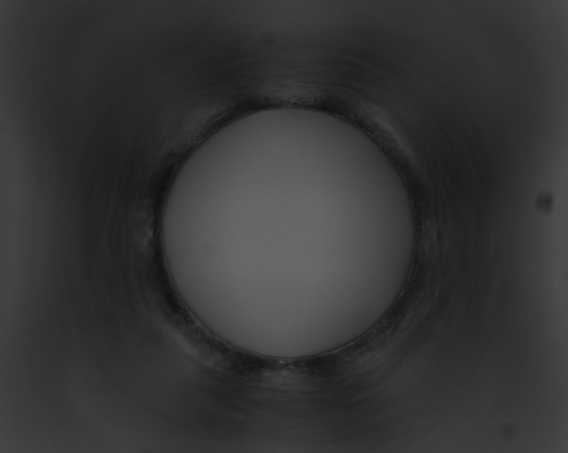 X0000091880259200710031127