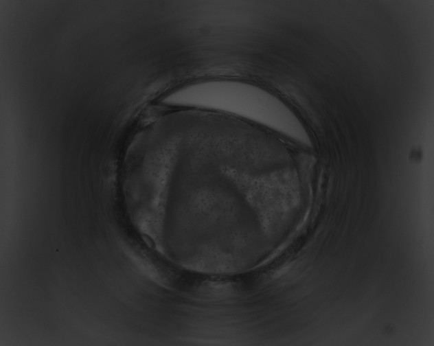 X0000091880260200710031127