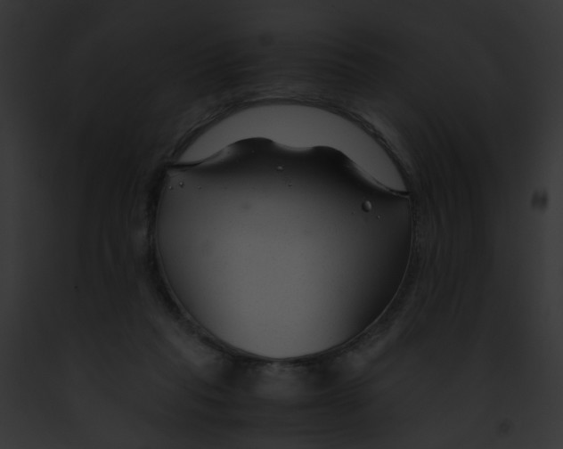 X0000091880261200710031127