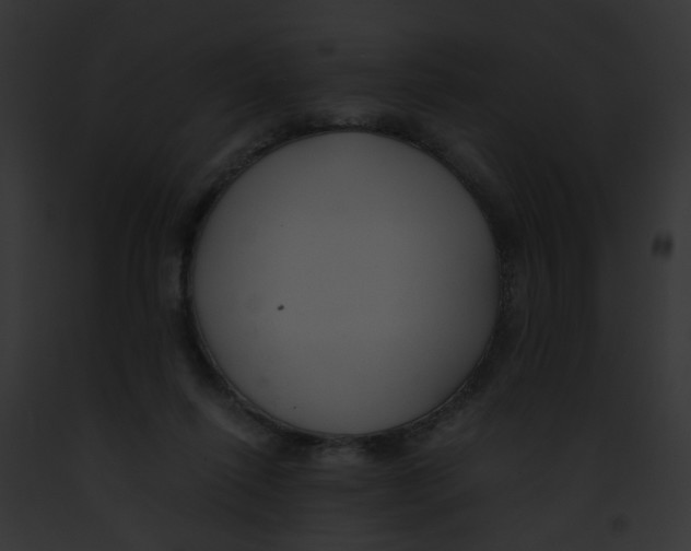 X0000091880262200710031127