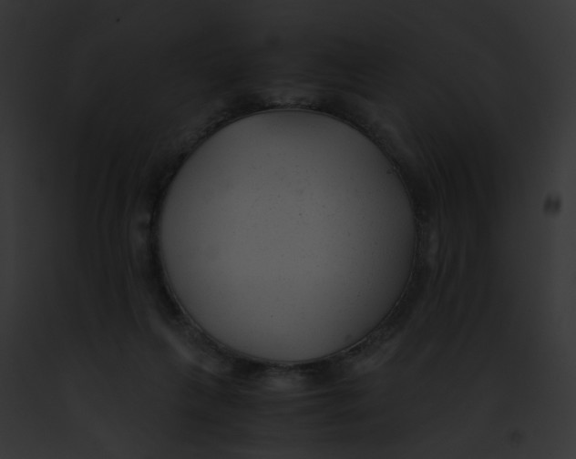 X0000091880263200710031127