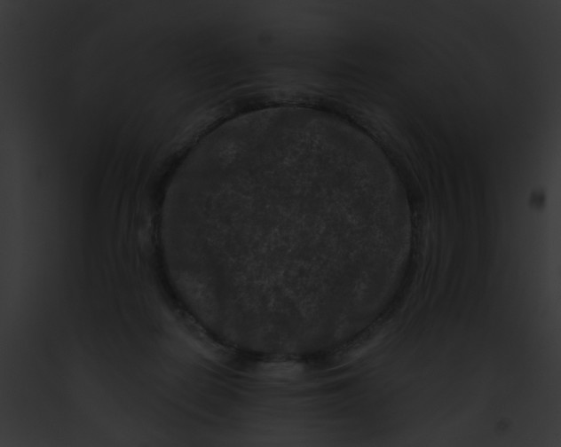 X0000091880266200710031127