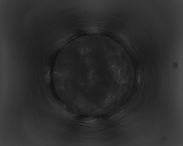 X0000091880267200710031127