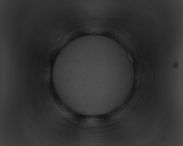 X0000091880268200710031127