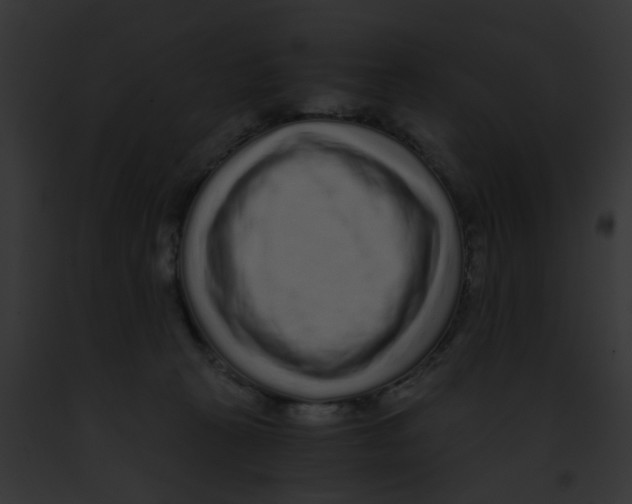 X0000091880273200710031127