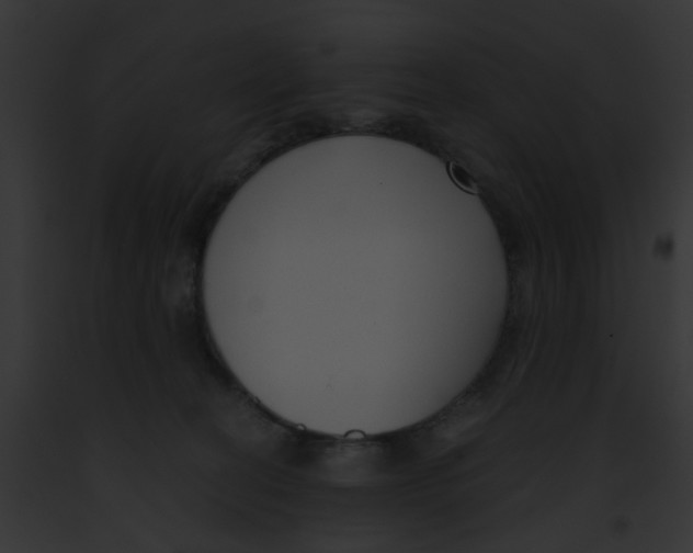 X0000091880274200710031127