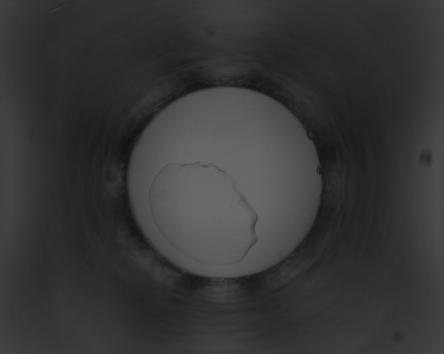 X0000091880278200710031127