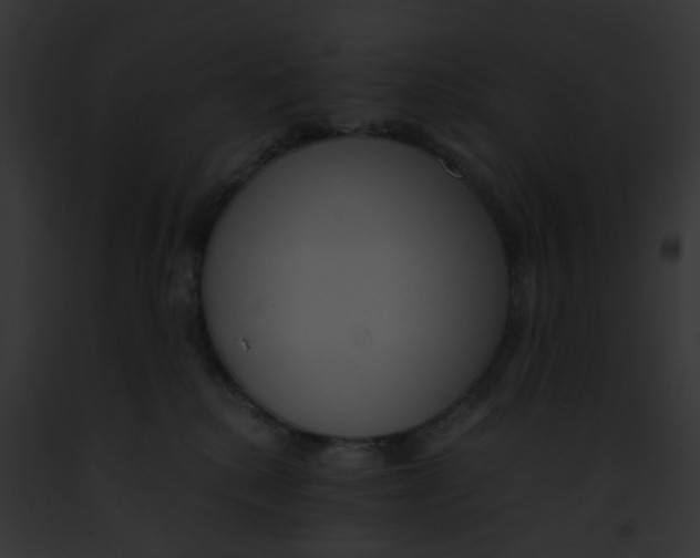 X0000091880280200710031127