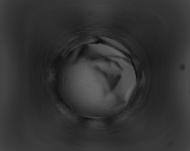 X0000091880284200710031127