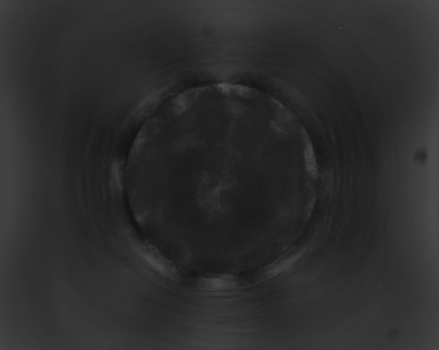 X0000091880286200710031127