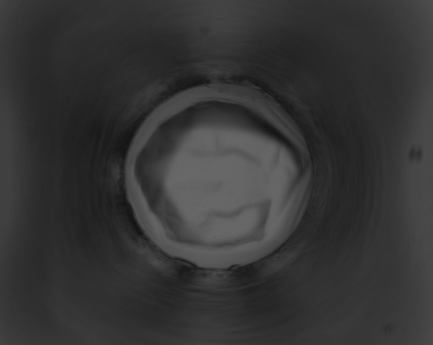 X0000091880288200710031127