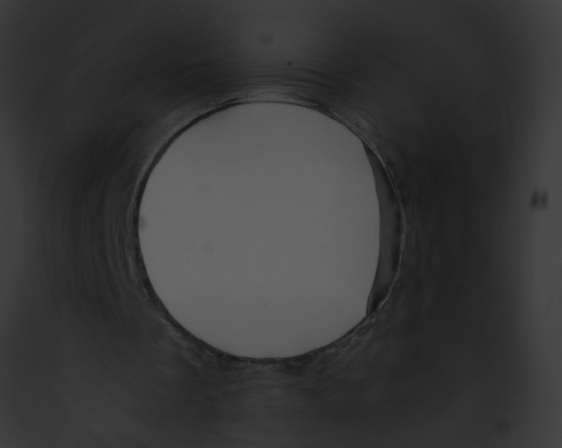 X0000091880289200710031127