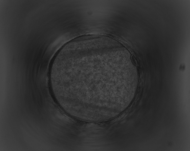 X0000091880290200710031127