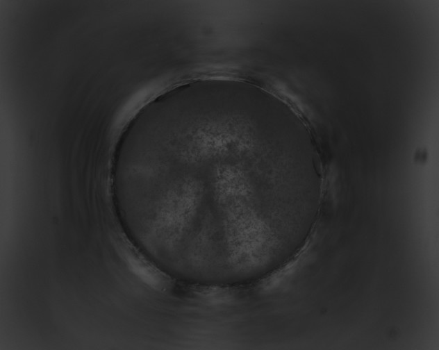 X0000091880293200710031127