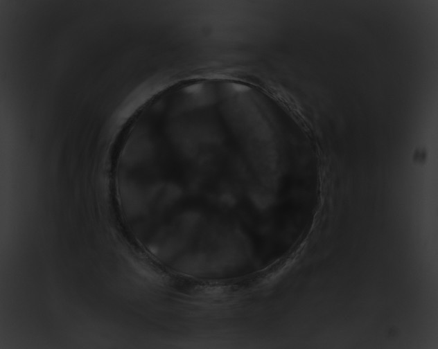 X0000091880295200710031127