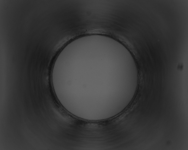 X0000091880298200710031127