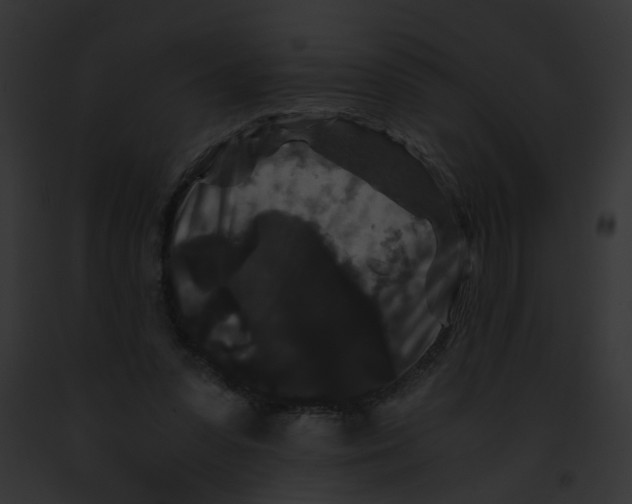 X0000091880303200710031127